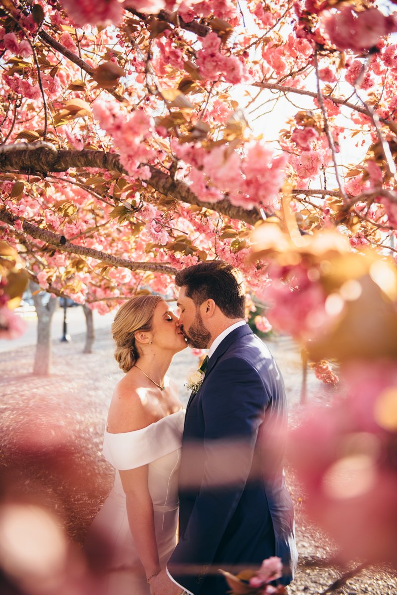 Bride and groom kiss under a cherry blossom tree.

New York Wedding Photography. Long Island Wedding Photography. Luxury Local Wedding Photographer. Destination Wedding Photographer.