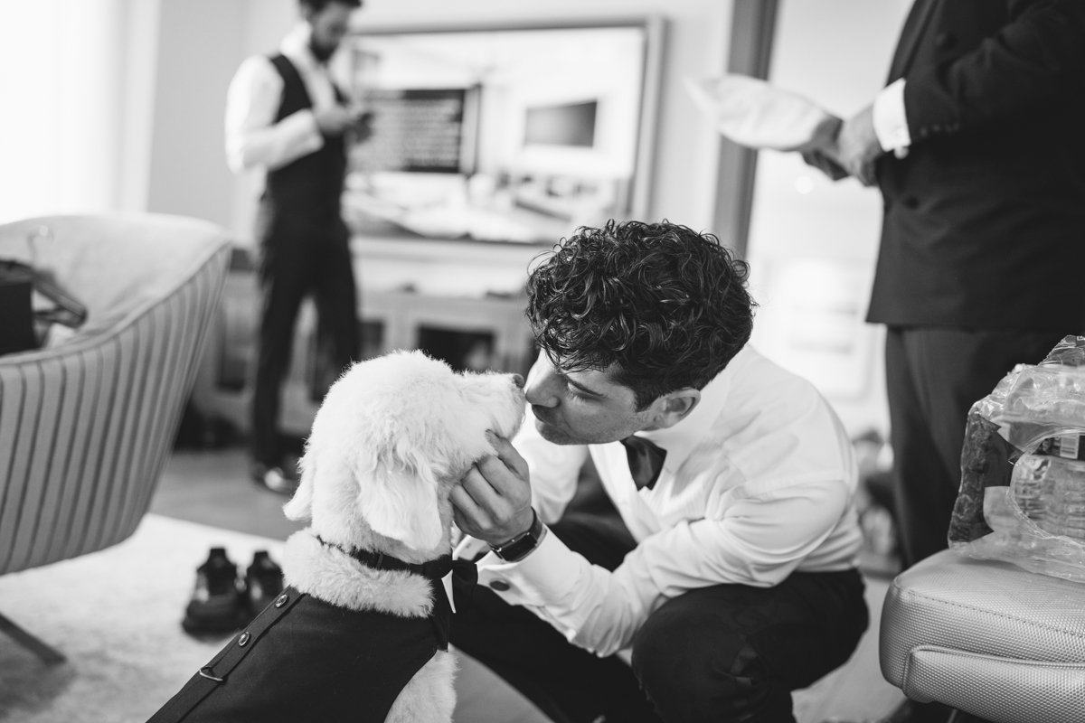 Groom crouches down on the floor to kiss a dog.

Manhattan Wedding Photographer. New York Wedding Photographer. New York Historical Society Wedding. NY Historical Society Weddings.