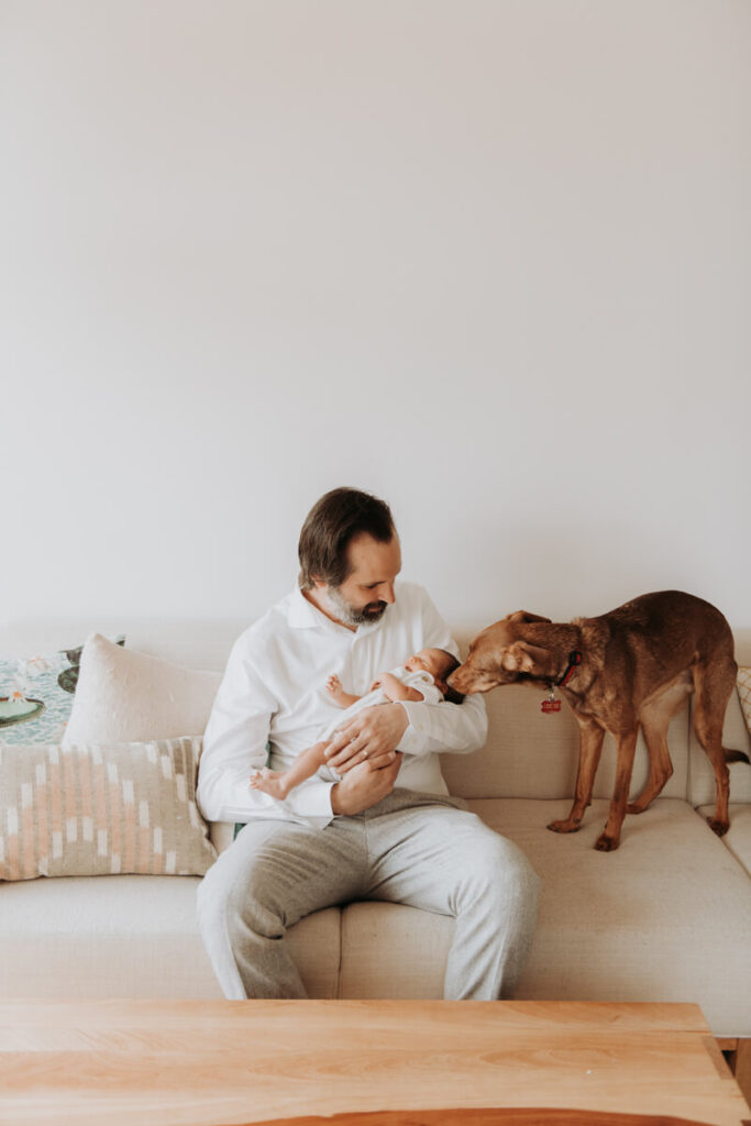 Father sits on a couch holding his newborn baby in his arms and their dog is standing on the couch next to them sniffing the baby.

Newborn Photography. Brooklyn Newborn Portraits. Lifestyle Newborn Photographer. Brooklyn Family Photography.